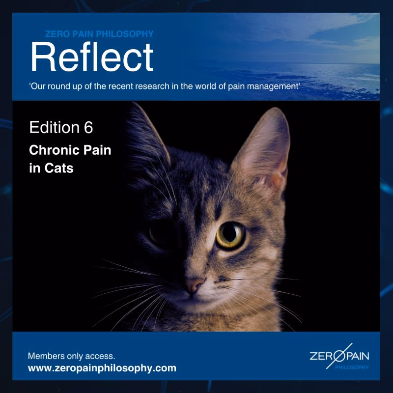 Is there a zero tolerance approach to pain in veterinary care?