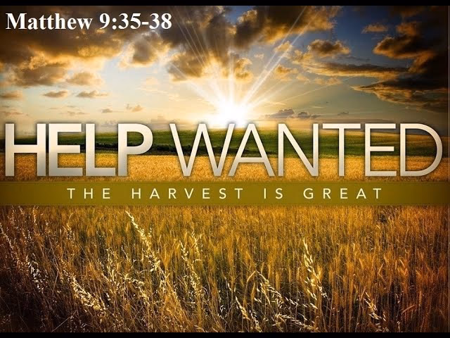 Is the harvest plentiful if the laborers are few?