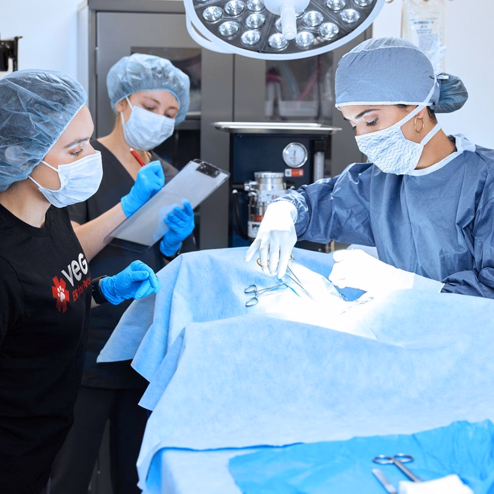 Do pet clinics offer emergency services?