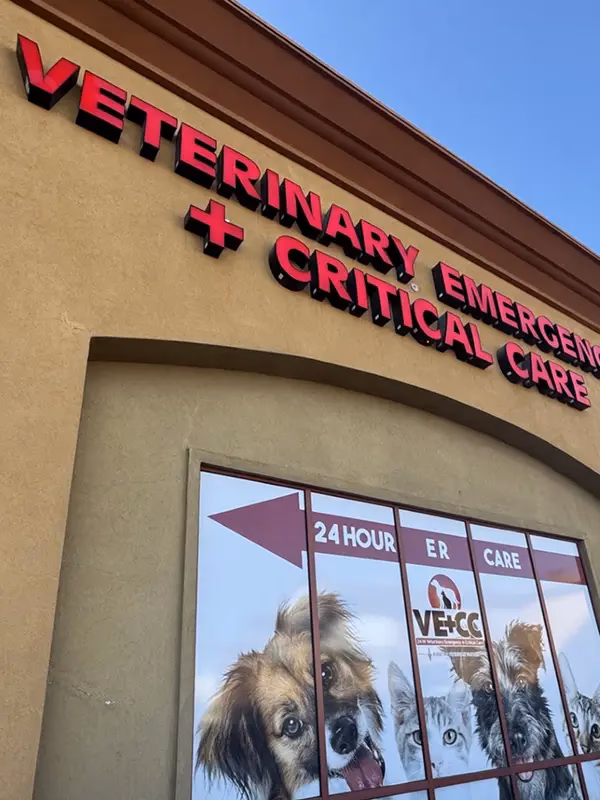 Where is the nearest 24-hour emergency vet?