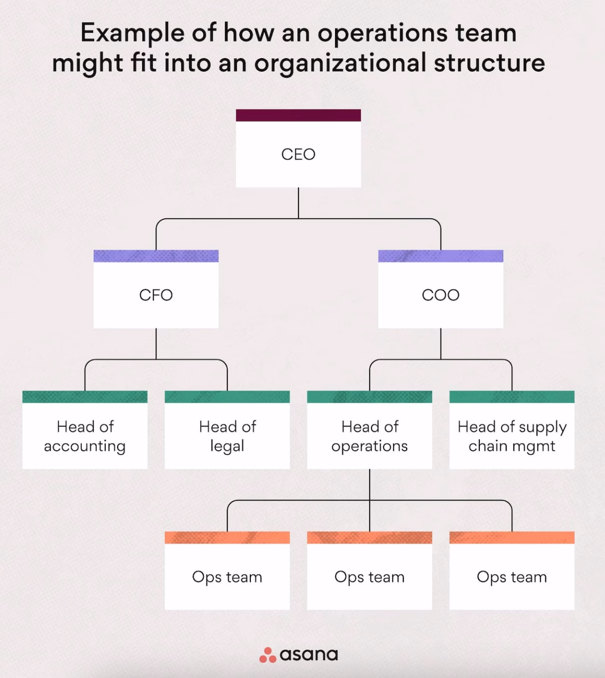 What does an Operations Management Department do?
