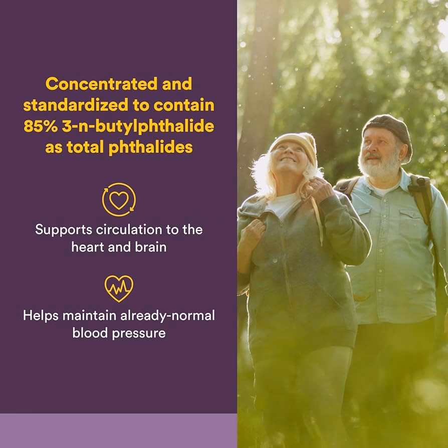 Is 3-n-butylphthalide a vasorelaxant?