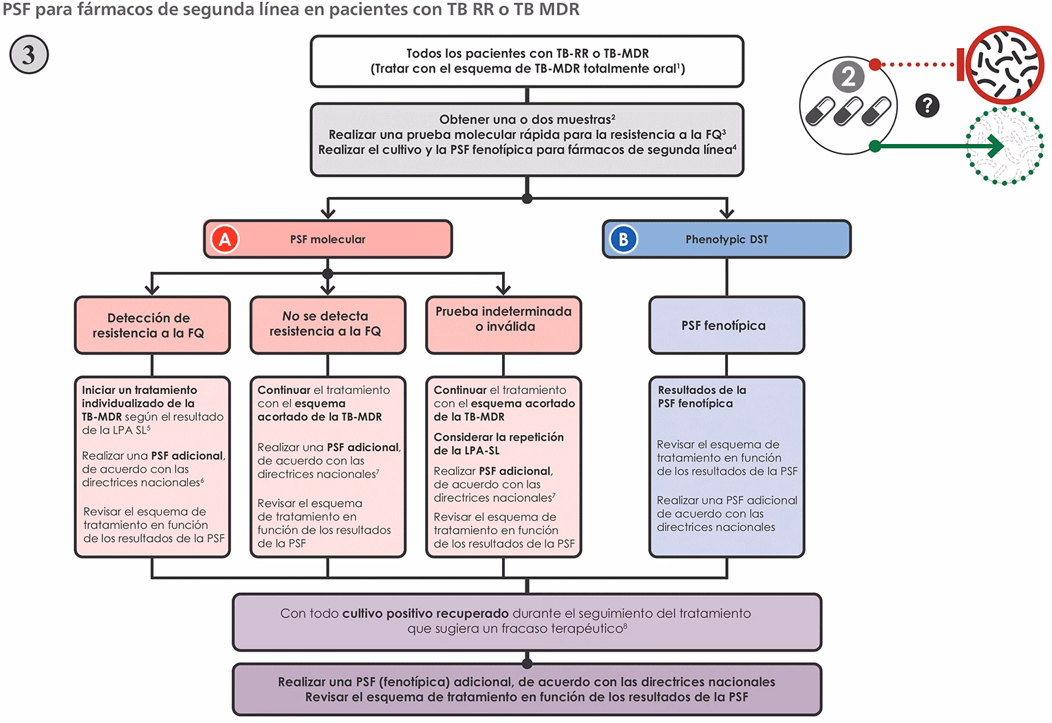 ¿Cuáles son los diferentes tipos de fármacos para la tuberculosis?