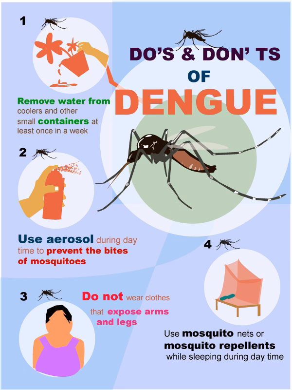 How do we prevent dengue virus infection?