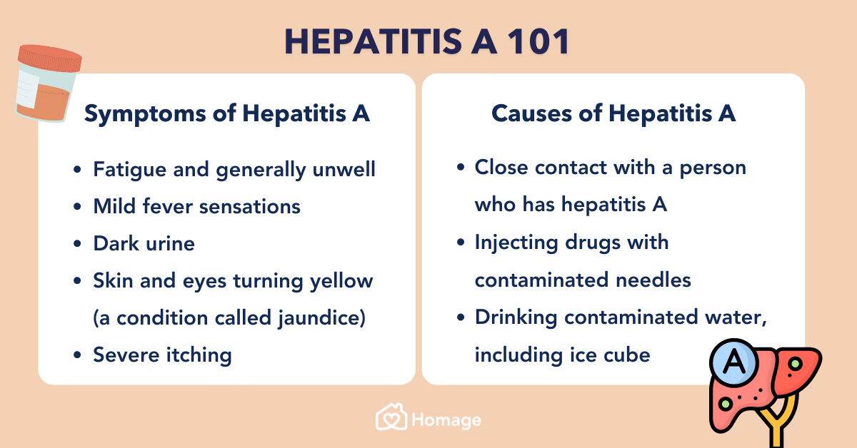 What is viral hepatitis?