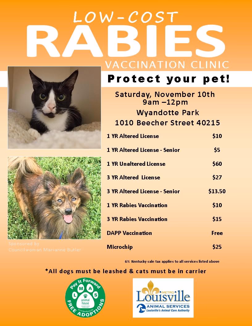 Where can I get a rabies shot for my dog?