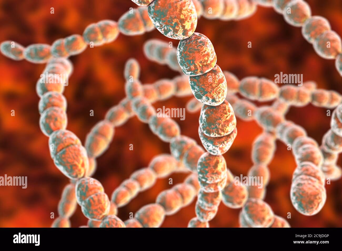 What does Streptococcus thermophilus test for?