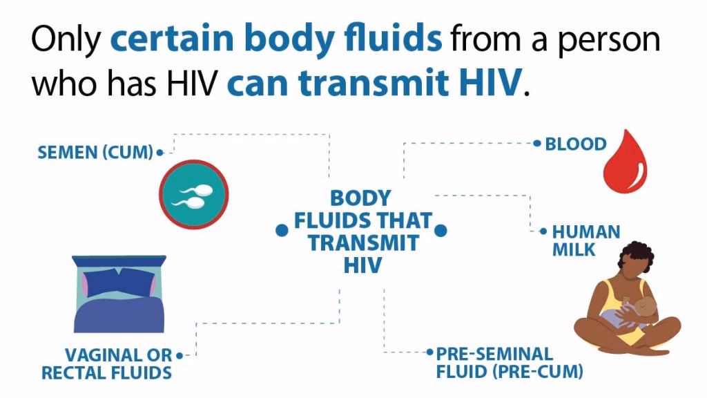 Does HIV infection affect oral mucosal ILCs?