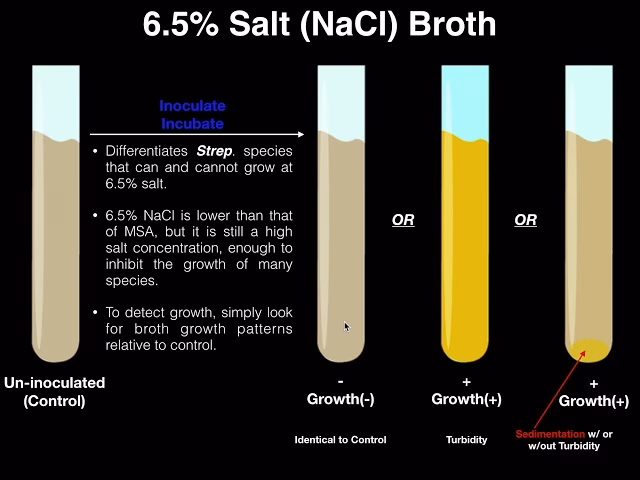 Is bile esculin positive or negative A streptococcus?