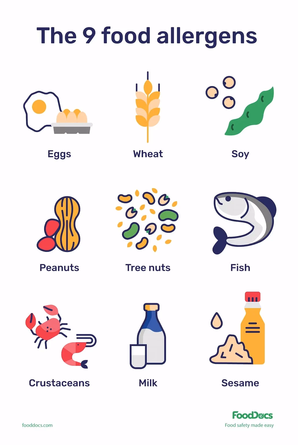 What are the Big 8 food allergies?