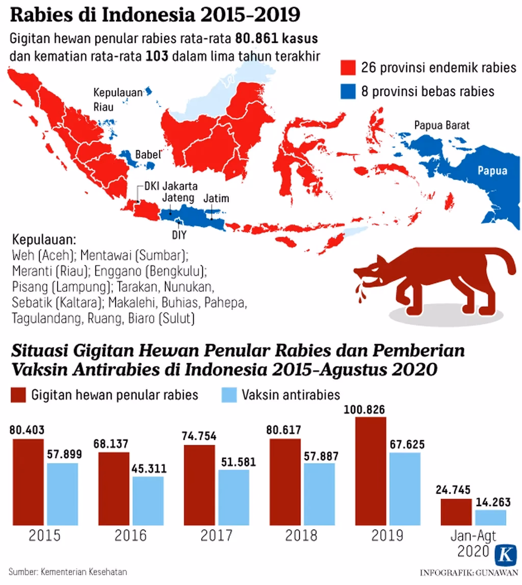 Apakah Indonesia termasuk endemi rabies?