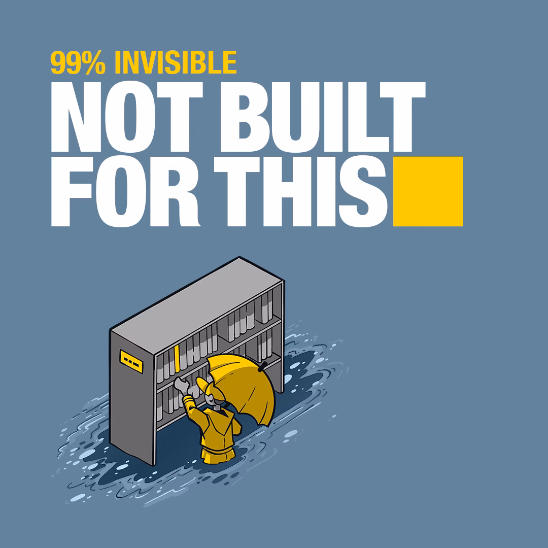 What is everything is tuberculosis about?