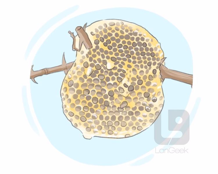 Is a hive a home for bees?