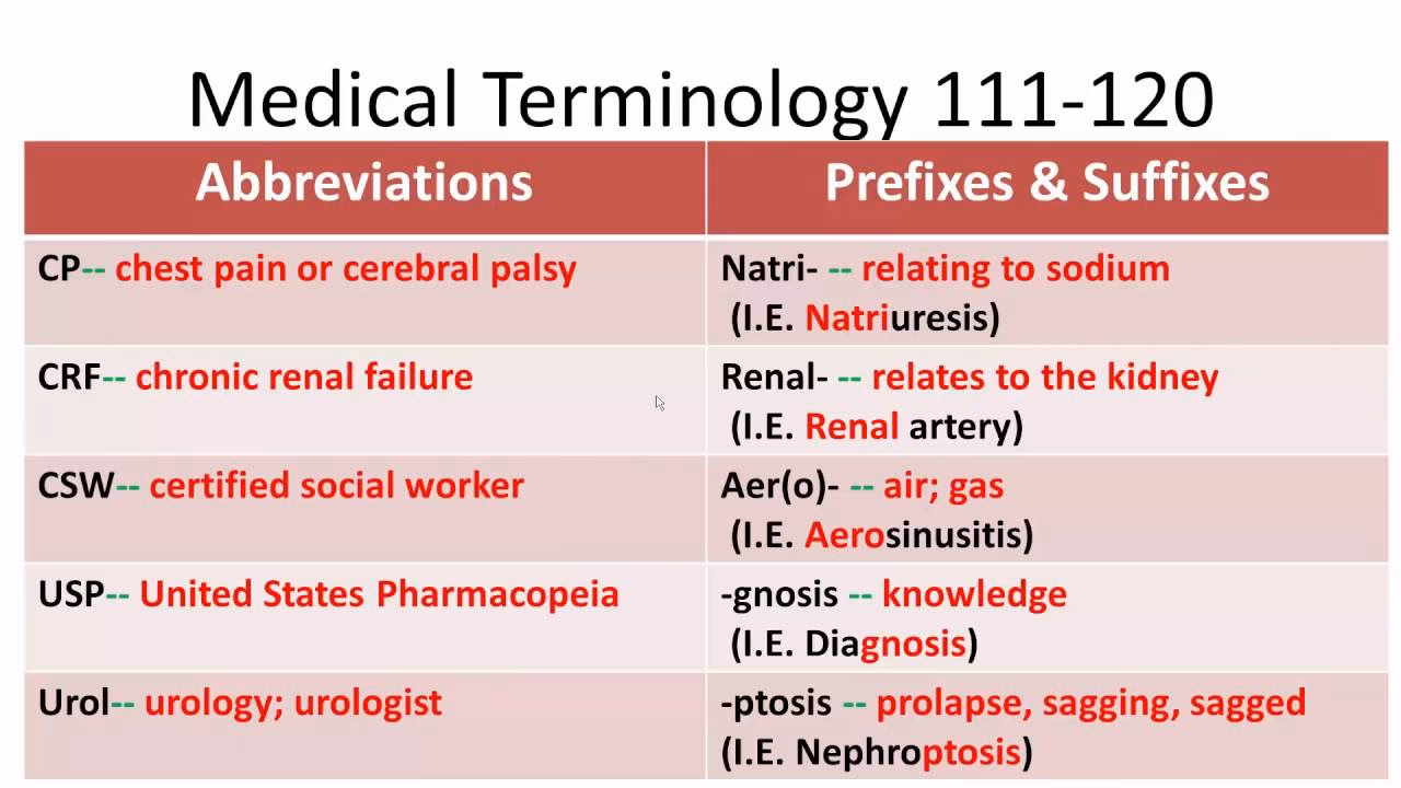 What does urology mean?