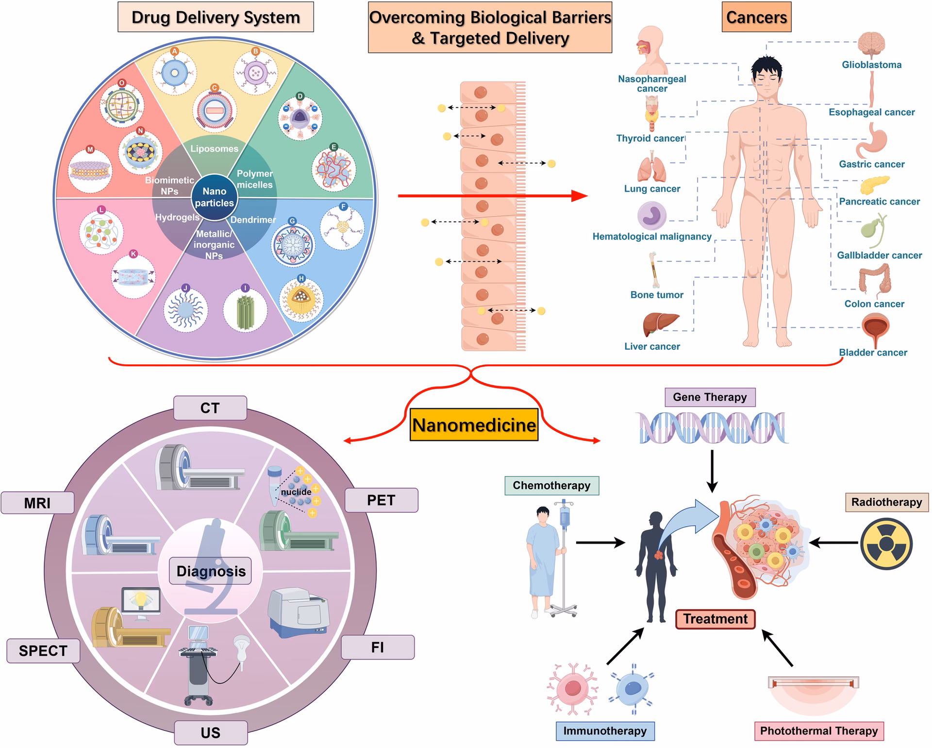 How are nanomedicines different from traditional drugs?