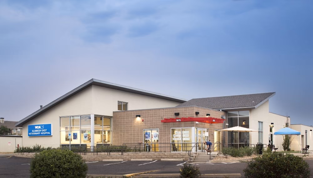 What is VCA Alameda East?
