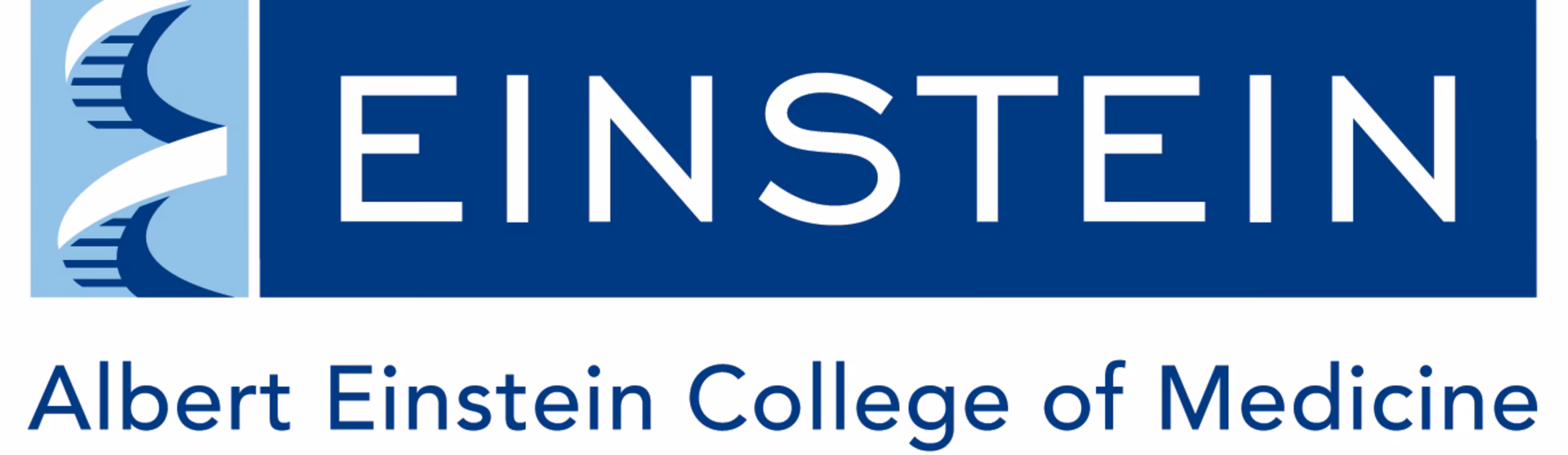 What is Albert Einstein College of Medicine?