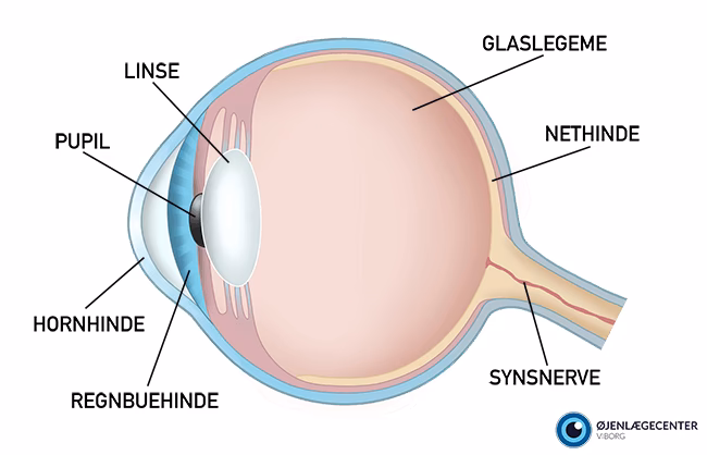 Hvad er årsagen til alderssyn?