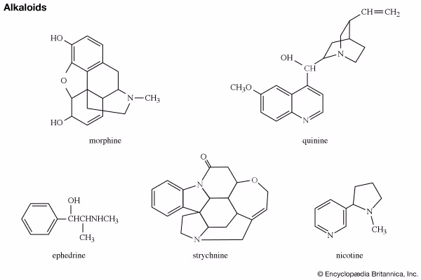 Are alkaloids curative?