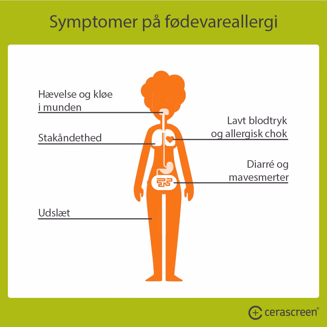 Hvad er årsagen til mælkeallergi?