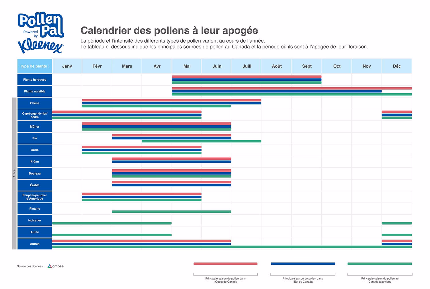 Quels sont les calendriers des allergies ?
