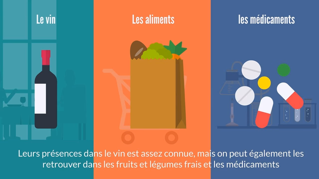 Quels facteurs influencent les réactions aux sulfites ?
