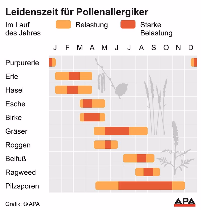 Welche Pollenarten gibt es in Wien?