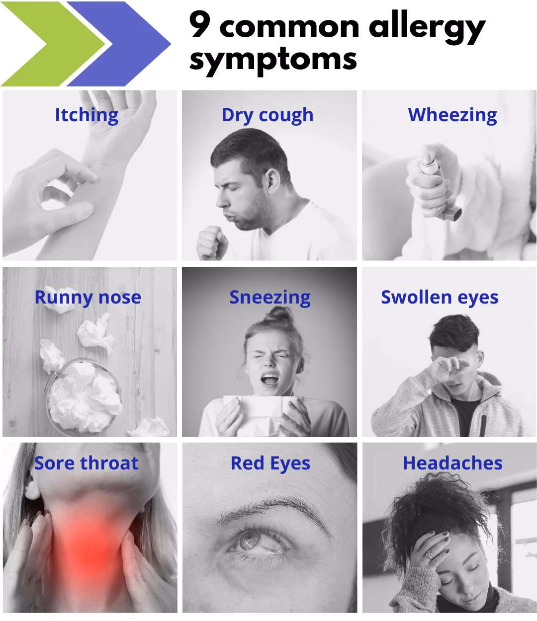 Quels sont les symptômes des allergies saisonnières ?