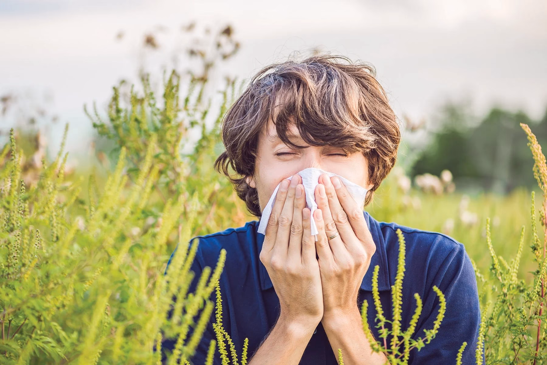 Est-ce que les denrées alimentaires sont allergiques ?