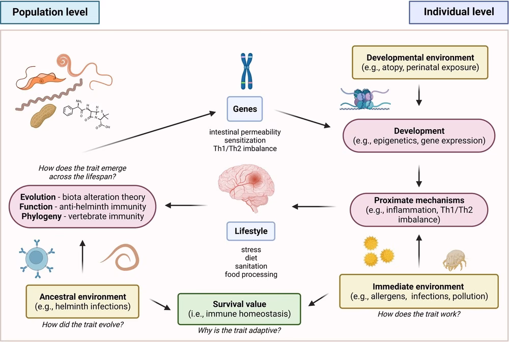 What can genetic discoveries in allergic disease tell us about the future?