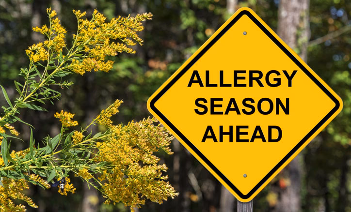 What should I do if I'm allergic to pollen in Knoxville?