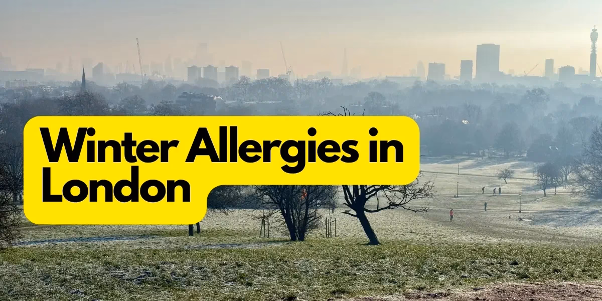 Where can I get allergy treatment?