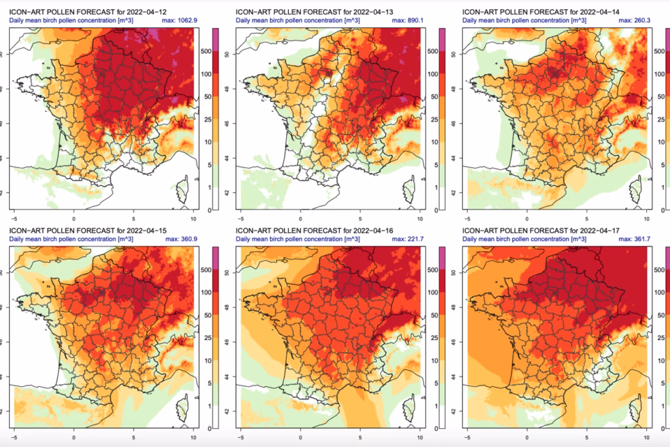 Quels sont les symptômes d’une allergie ?