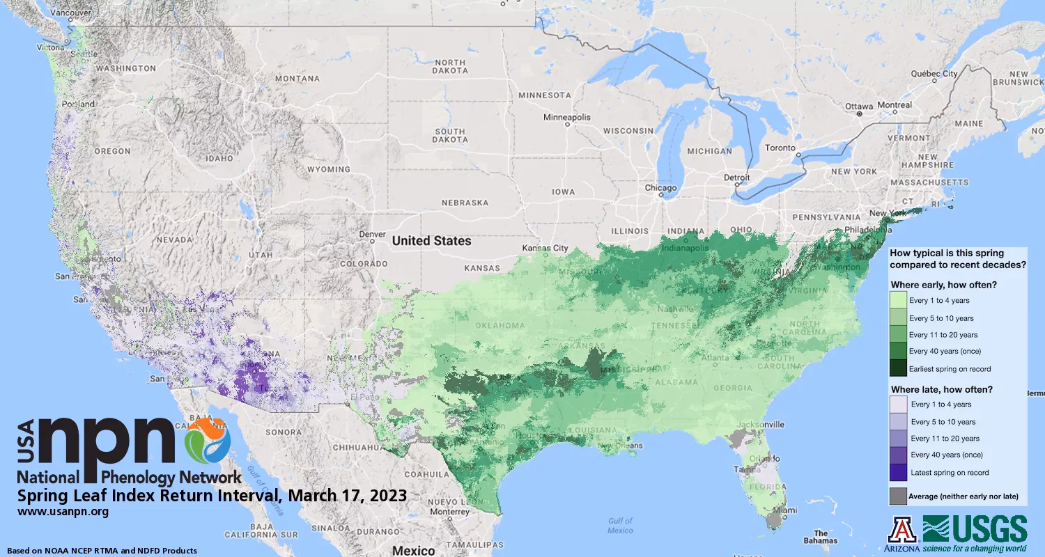 Does pollen cause allergy symptoms?
