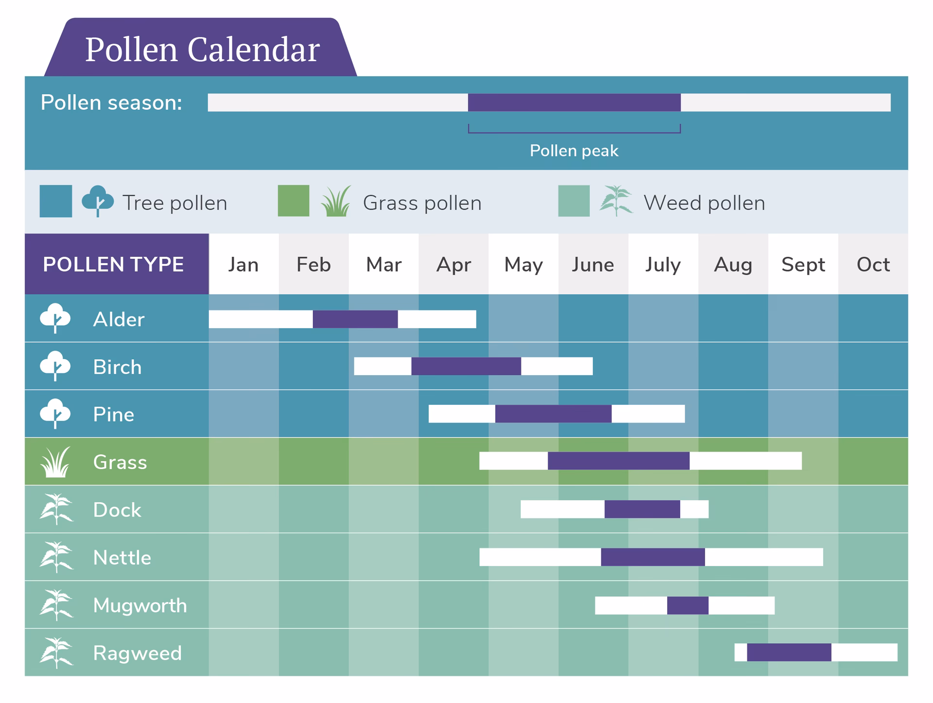 How much does allergies cost a year?