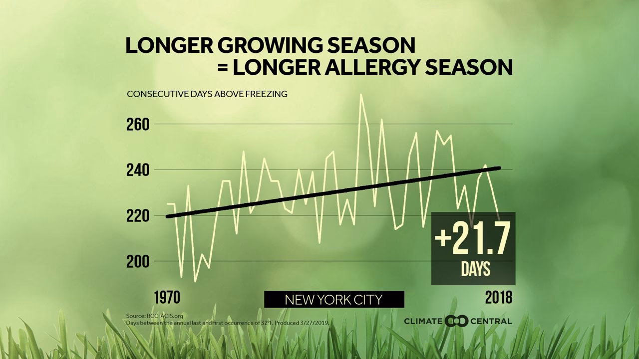 When is the worst time of year for allergies in New York?