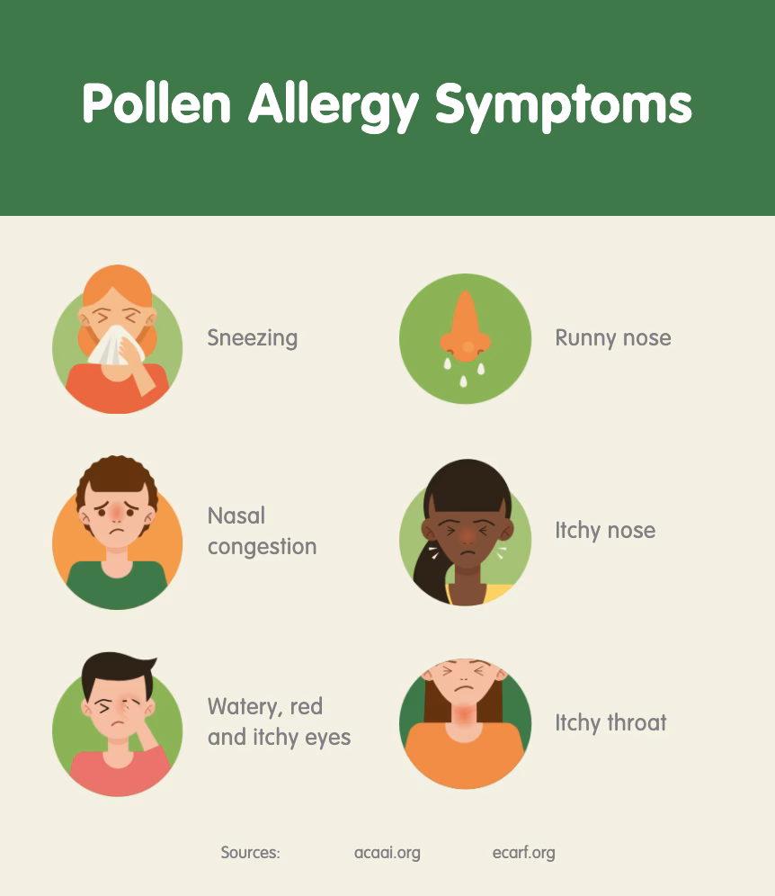 What causes pollen allergies?