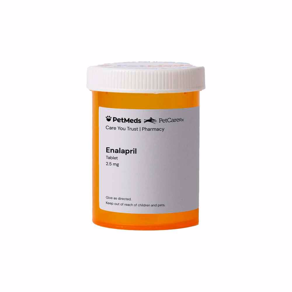 Does enalapril reduce oxidative stress in diabetic patients?