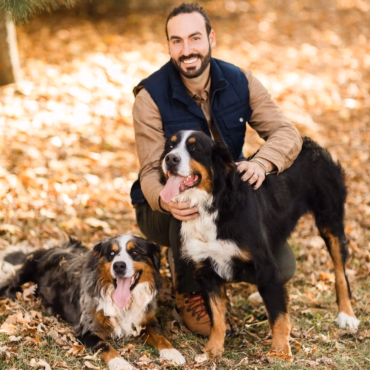 Are large hypoallergenic dogs better than smaller dogs?