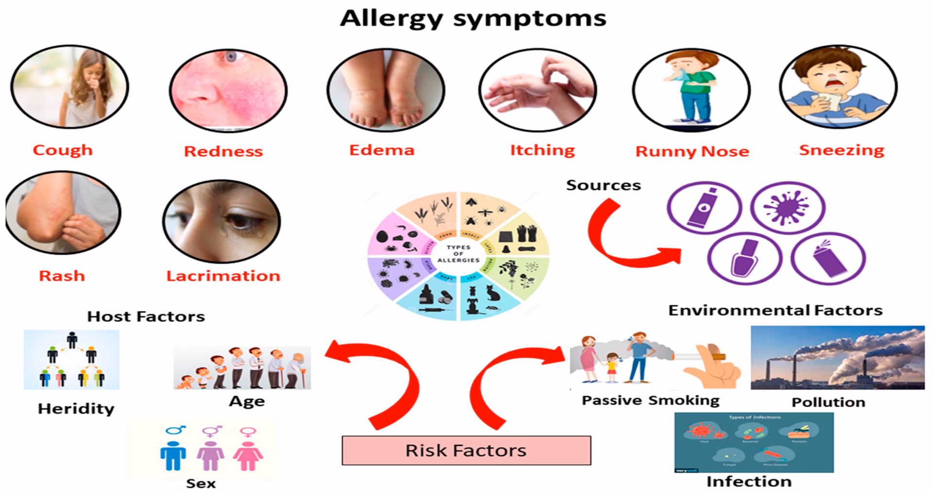 What is acceptance rate & impact factor of Allergy?