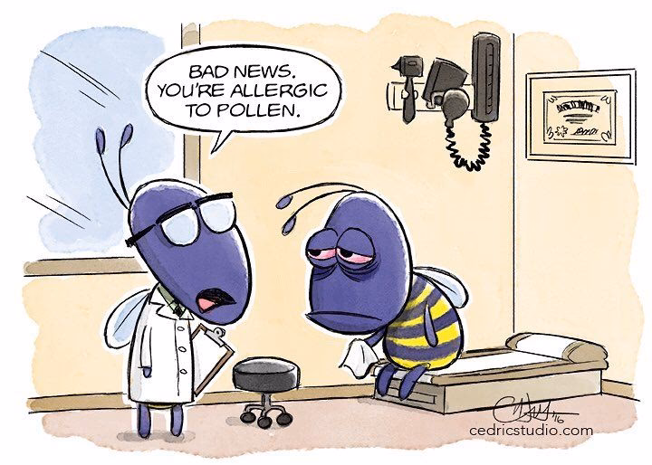 What are the best jokes to tell your friends?