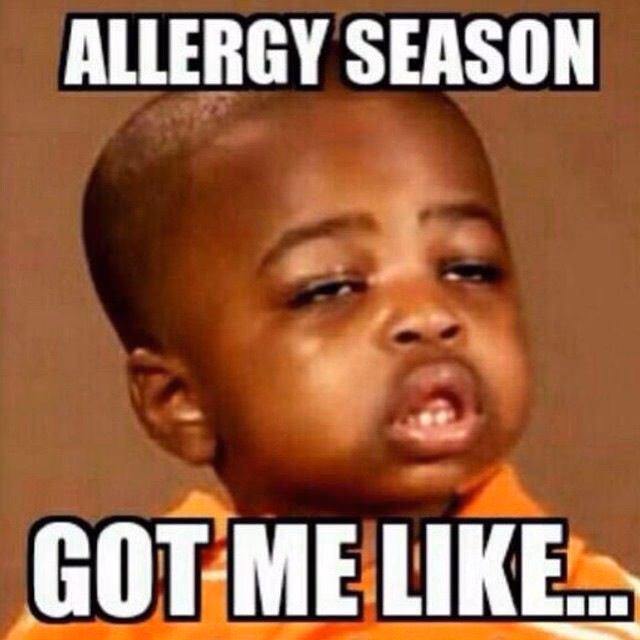 Who is pollen memes?