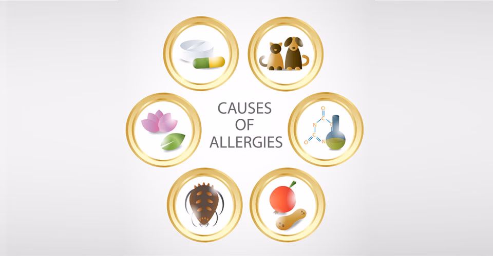 What is an allergy clinic?