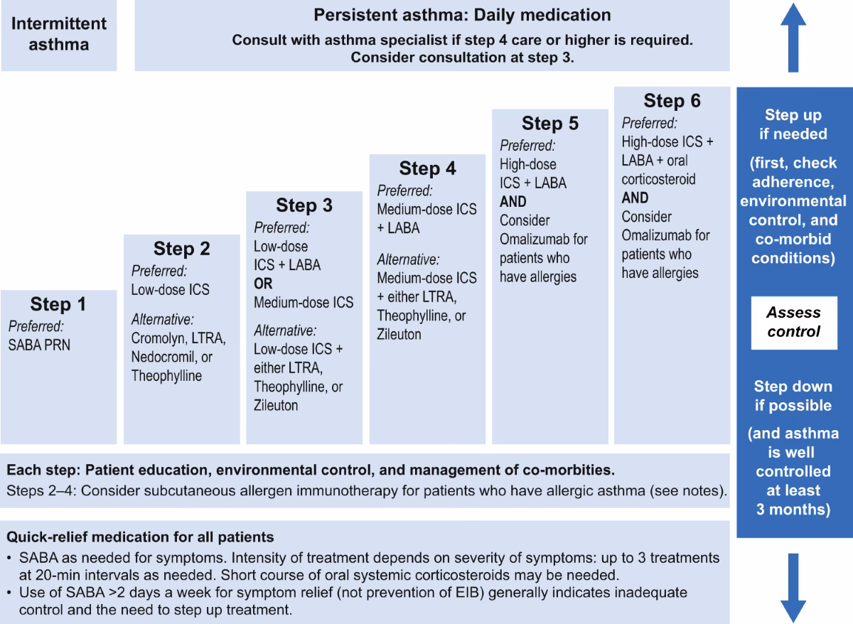 Which medications are used in the treatment of asthma?