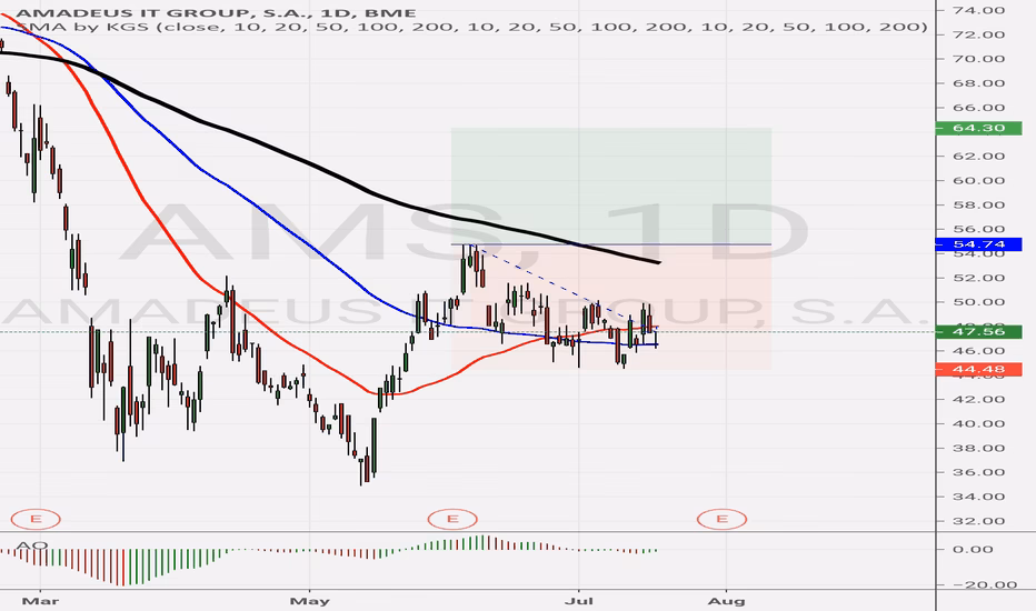 Where does Amadeus IT operate?