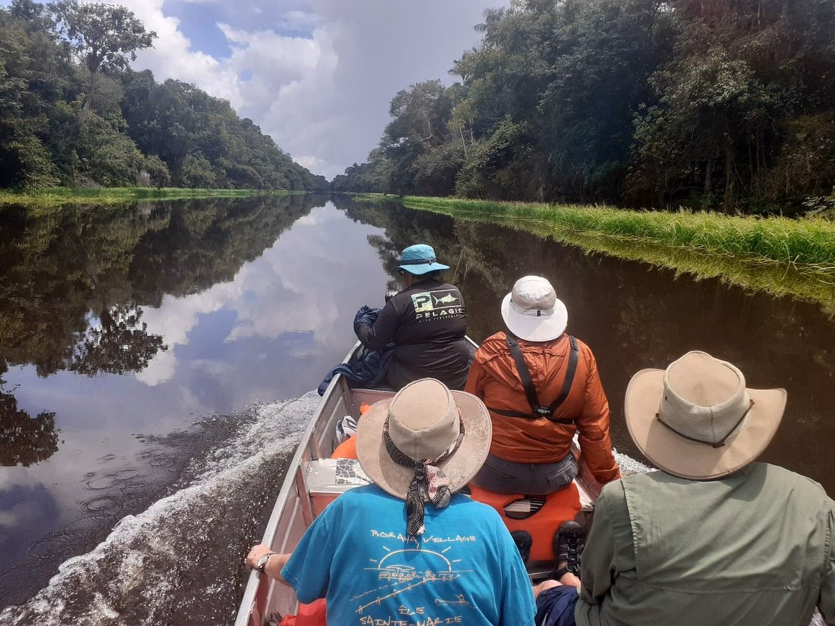 How many Amazon rainforest tour operators & travel companies are there?