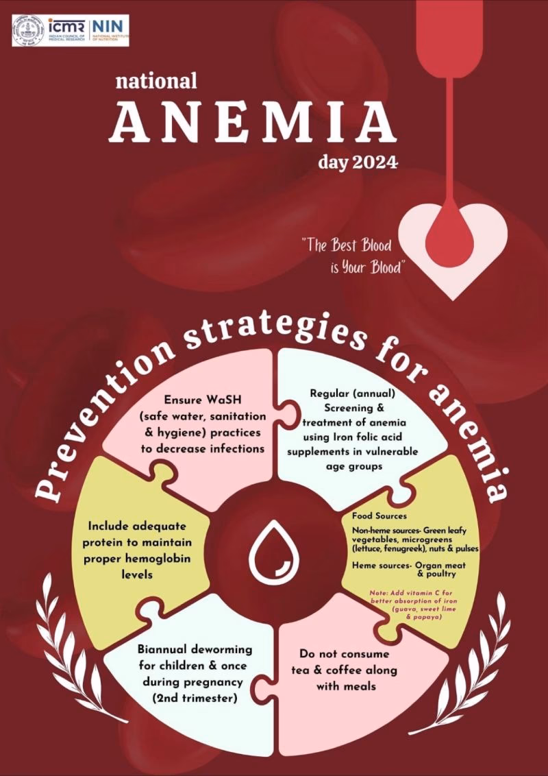 What are the subtopics of anaemia?