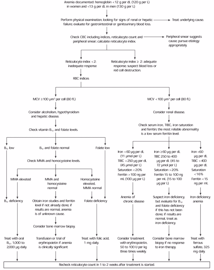 How important is anemia in the elderly?