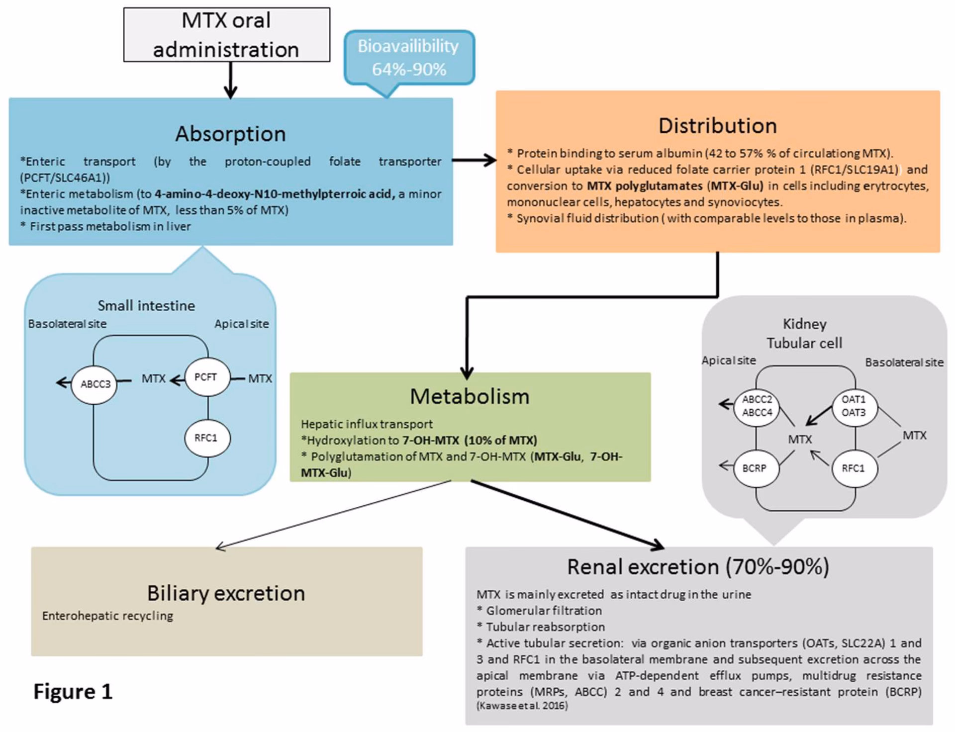 Can methotrexate help with Ra?
