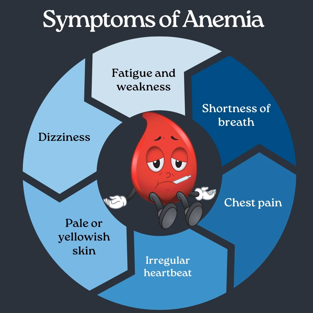 How does anemia affect your body?